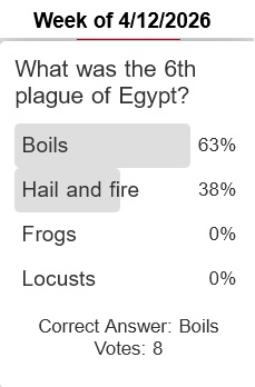 quiz